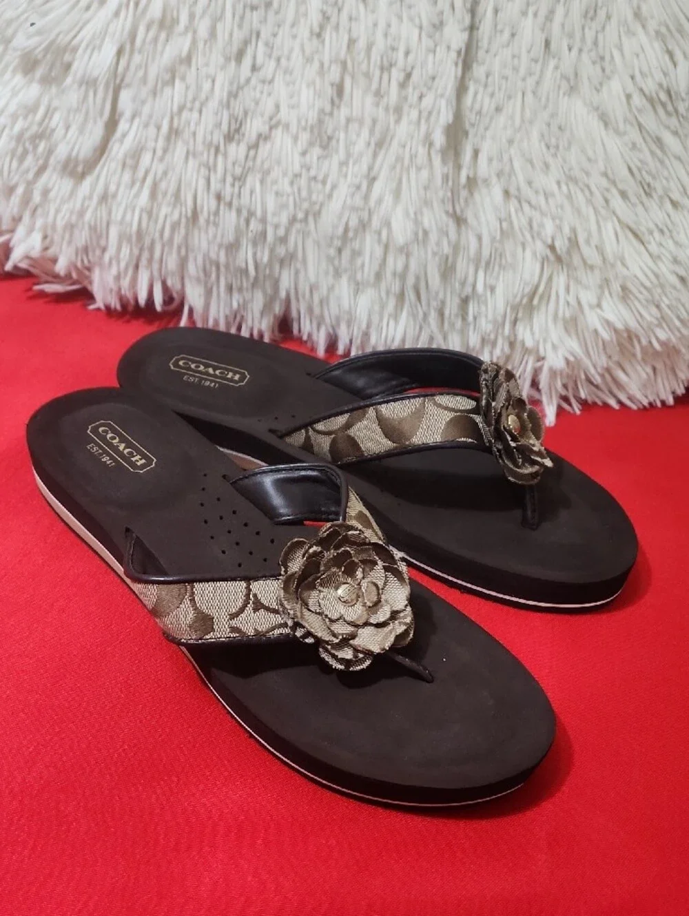 Coach Jillian Brown and Tan Floral Thong Sandals